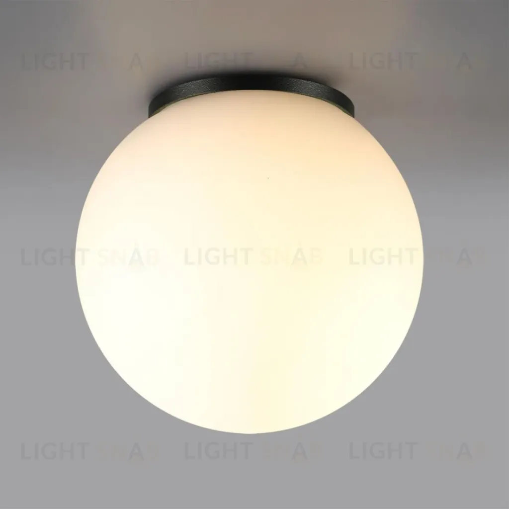Уличный потолочный светильник Odeon Light Nature Viva 7124/1C 7124/1C
