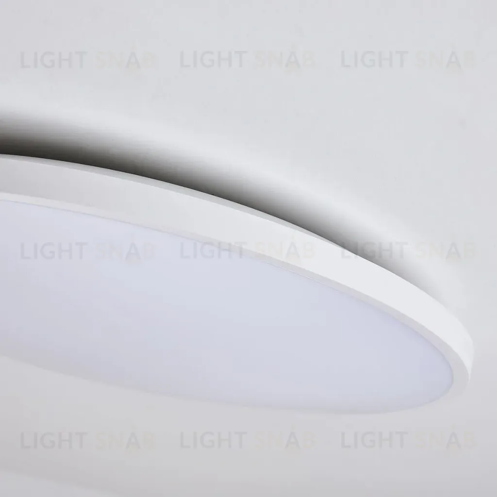Настенно-потолочный светильник Lightstar Arco Eco 225751 225751