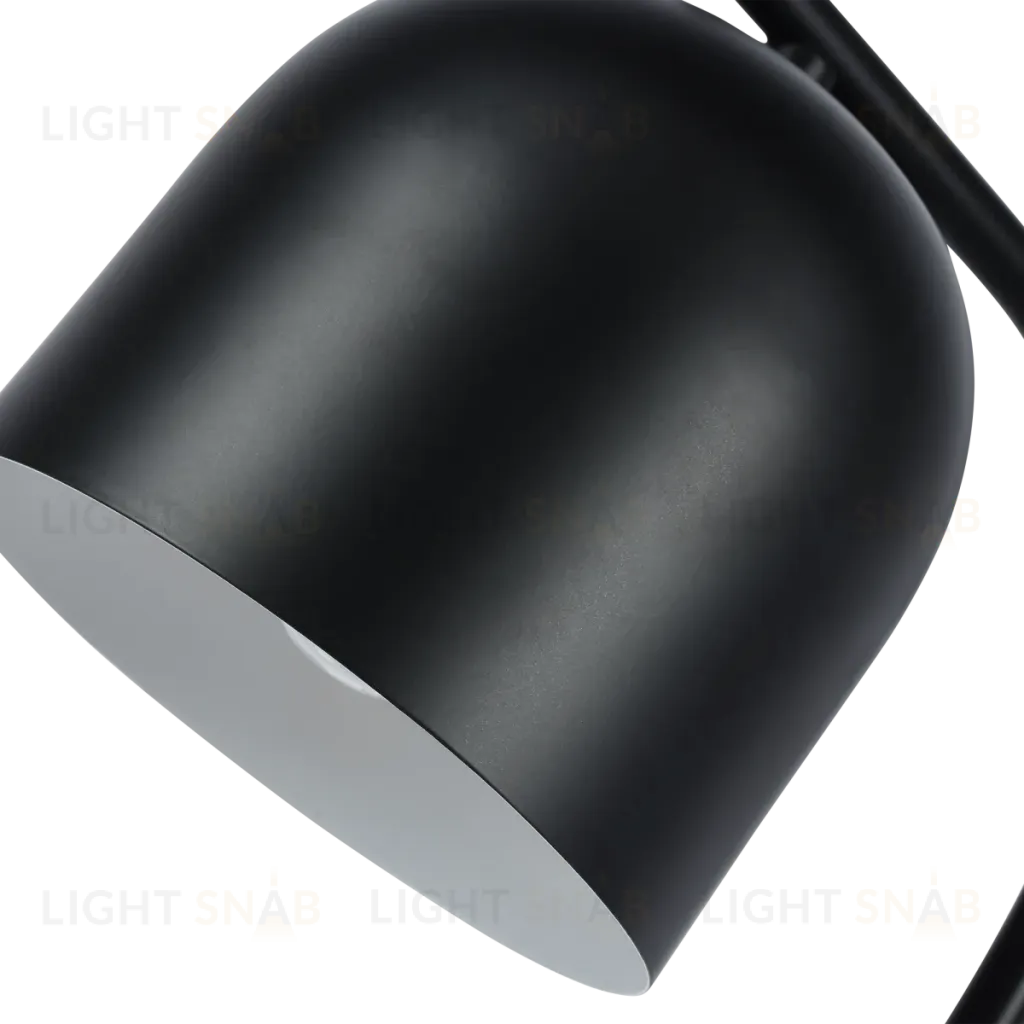 Настольная лампа Zortes DeskLight ZRS.1066.01 ZRS.1066.01