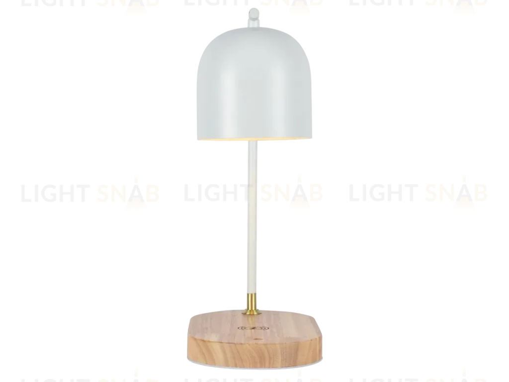 Настольная лампа Zortes DeskLight ZRS.1066.02 ZRS.1066.02
