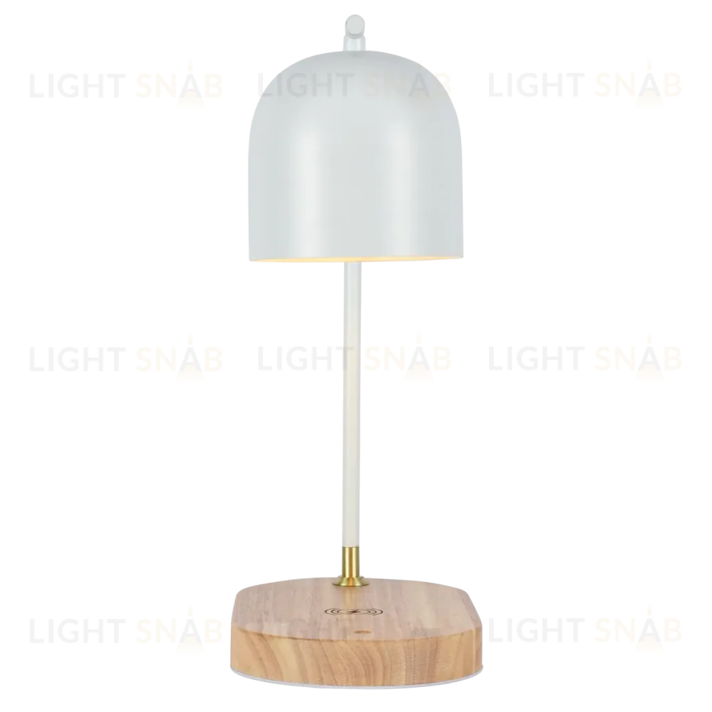 Настольная лампа Zortes DeskLight ZRS.1066.02 ZRS.1066.02