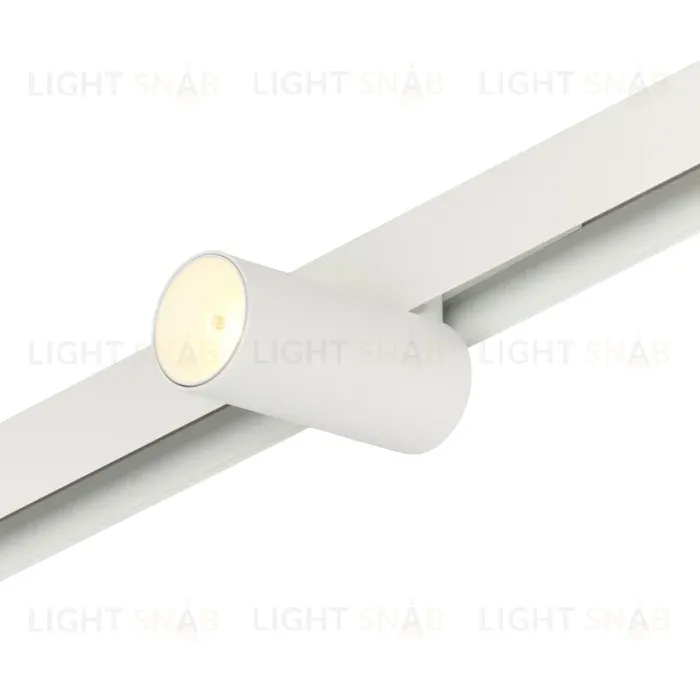 Трековый магнитный светильник Myfar Ray MT0220-12W3K-W MT0220-12W3K-W