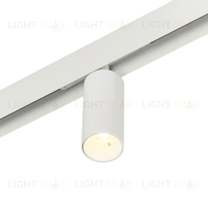 Трековый магнитный светильник Myfar Ray MT0220-12W3K-W MT0220-12W3K-W