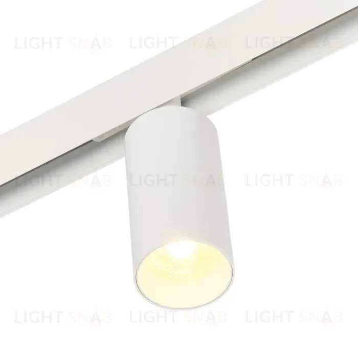 Трековый магнитный светильник Myfar Ray MT0220-18W3K-W MT0220-18W3K-W