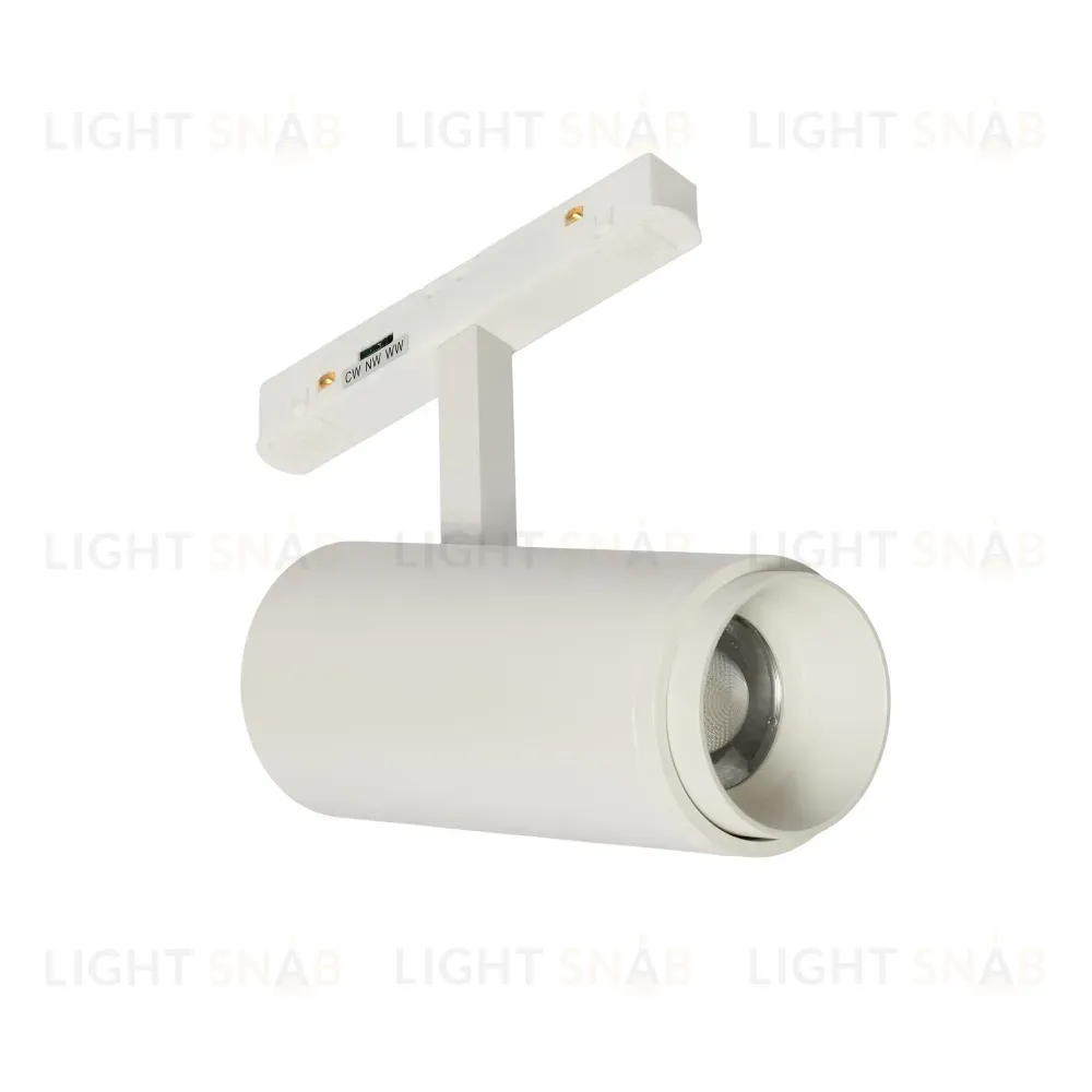 Трековый магнитный светильник Myfar RayZoom MT0222-20W3K-S-W MT0222-20W3K-S-W