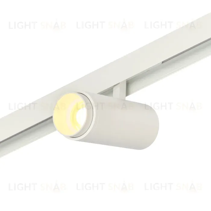 Трековый магнитный светильник Myfar RayZoom MT0222-20W3K-S-W MT0222-20W3K-S-W