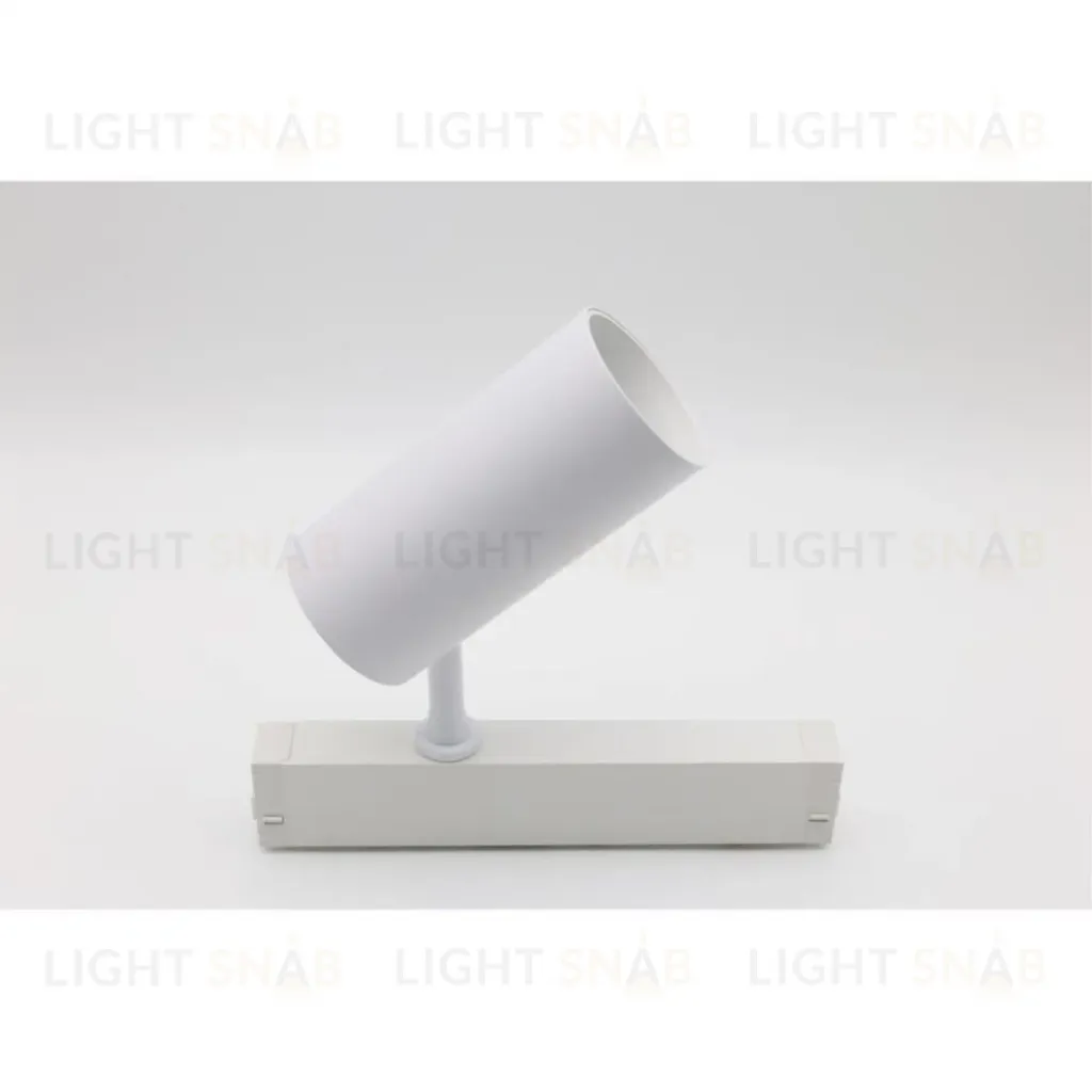 Трековый магнитный светильник Aployt Magnetic track 220 APL.0205.10.20 APL.0205.10.20