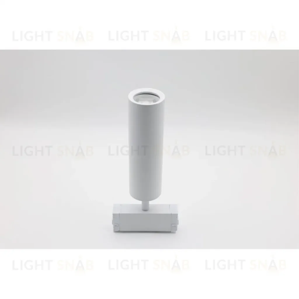 Трековый магнитный светильник Aployt Magnetic track 220 APL.0210.11.01 APL.0210.11.01