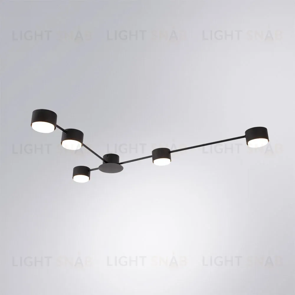 Потолочные люстры Arte Lamp Tracy A1527PL-5BK A1527PL-5BK