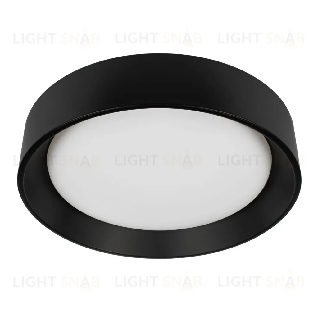 Потолочный светильник Loft IT Coin 10202 BB 10202 BB