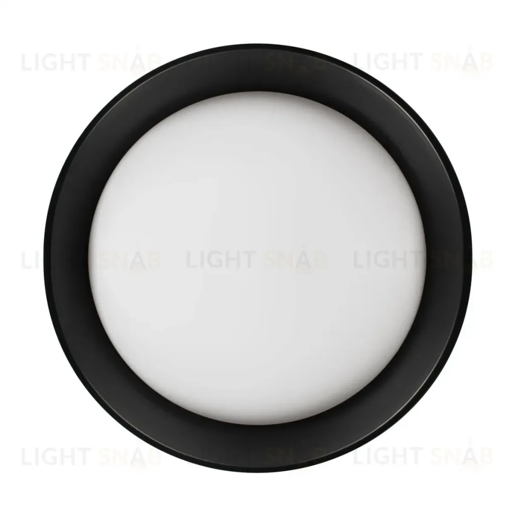 Потолочный светильник Loft IT Coin 10202 BB 10202 BB