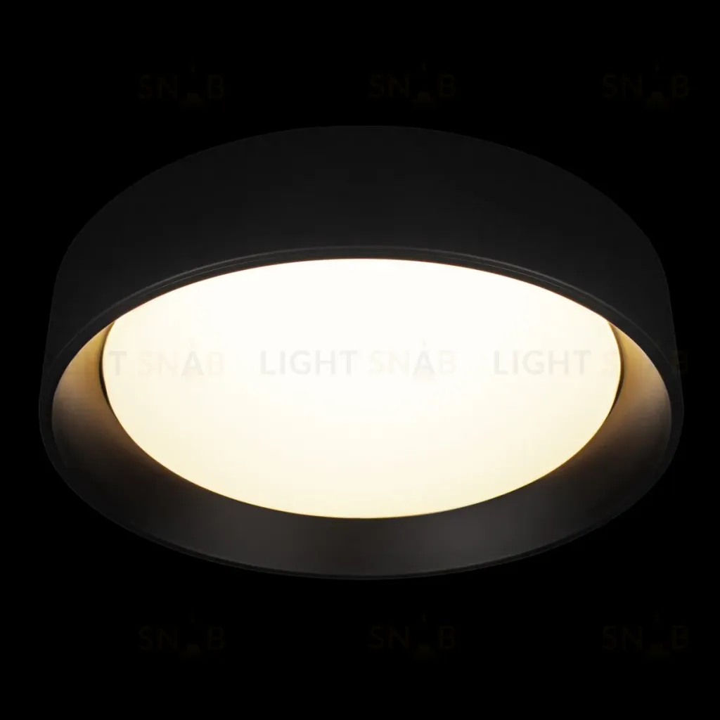 Потолочный светильник Loft IT Coin 10202 BB 10202 BB