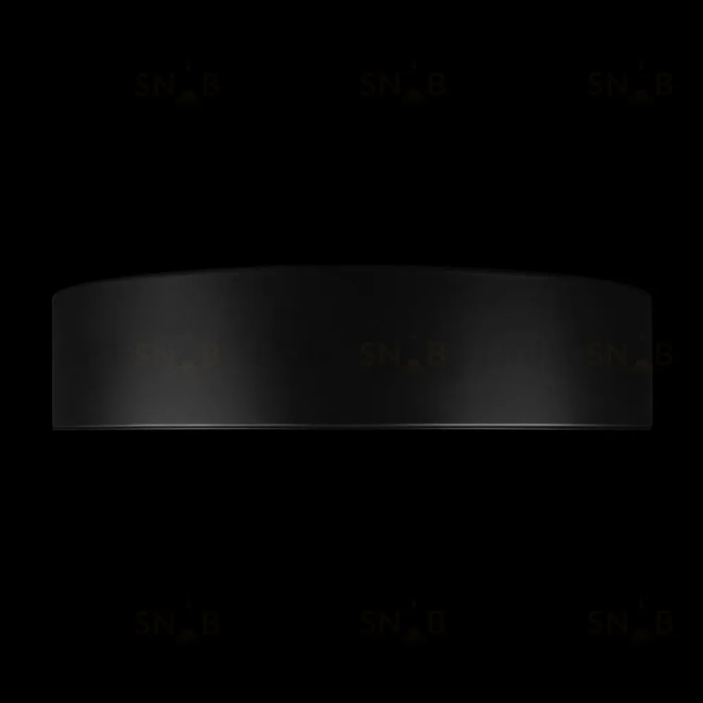 Потолочный светильник Loft IT Coin 10202 BB 10202 BB