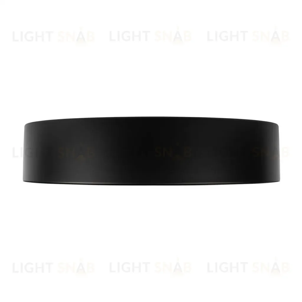 Потолочный светильник Loft IT Coin 10202 BB 10202 BB