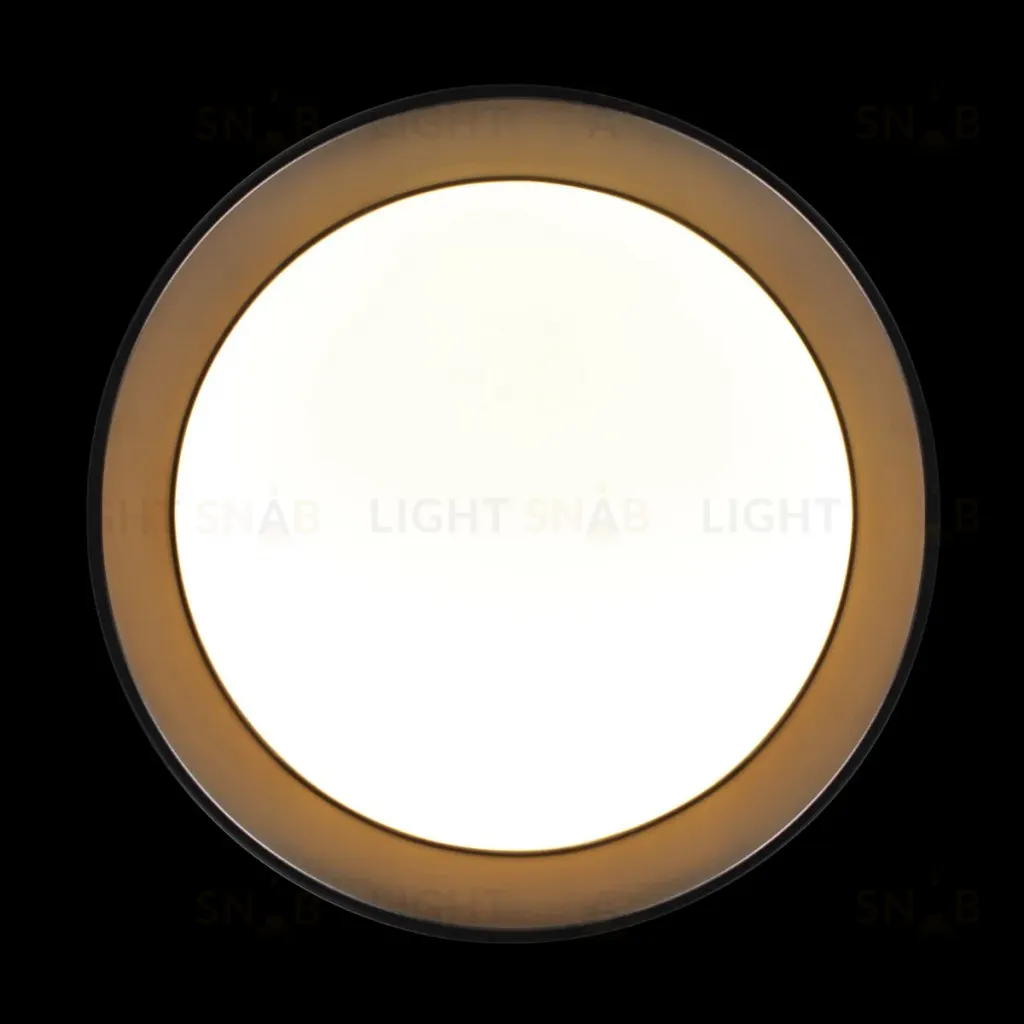 Потолочный светильник Loft IT Coin 10202 BB 10202 BB