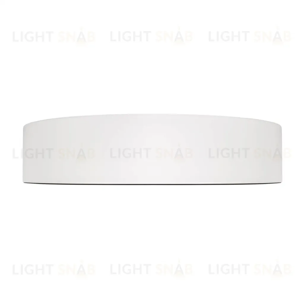 Потолочный светильник Loft IT Coin 10202 WB 10202 WB