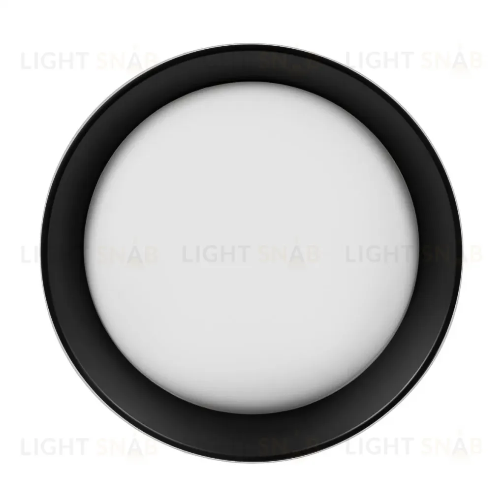 Потолочный светильник Loft IT Coin 10202 WB 10202 WB