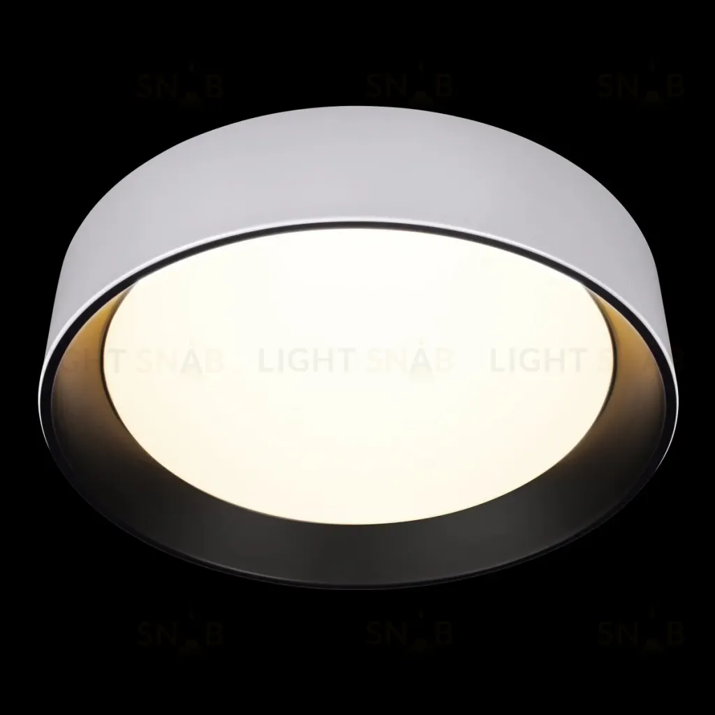 Потолочный светильник Loft IT Coin 10202 WB 10202 WB