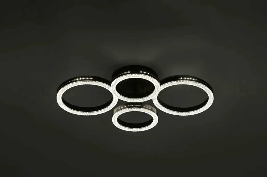 Потолочный светильник Rivoli Flora 6191-201 Б0068425