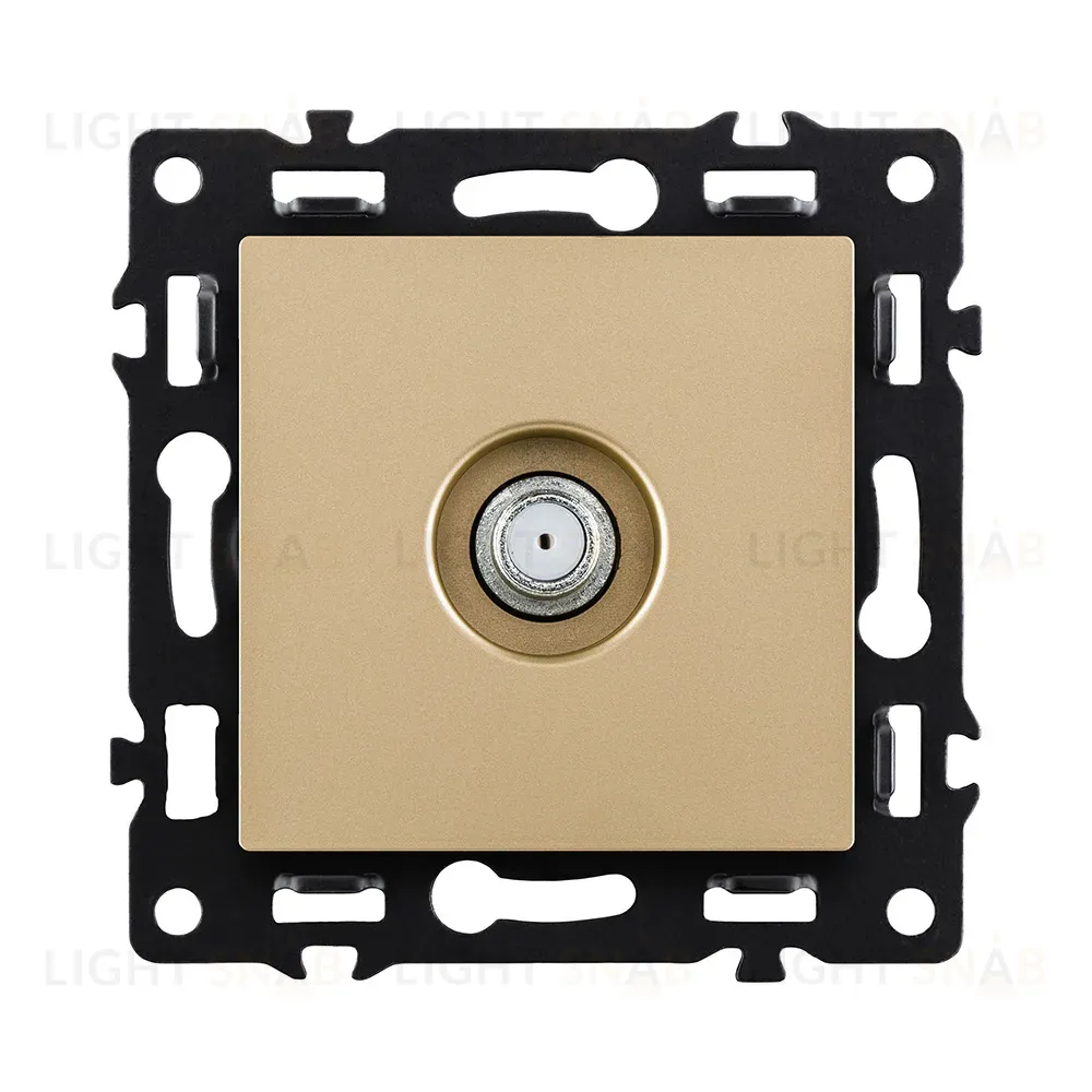 Розетка TV, золотой Kollinger Asthetik AS-020GD AS-020GD