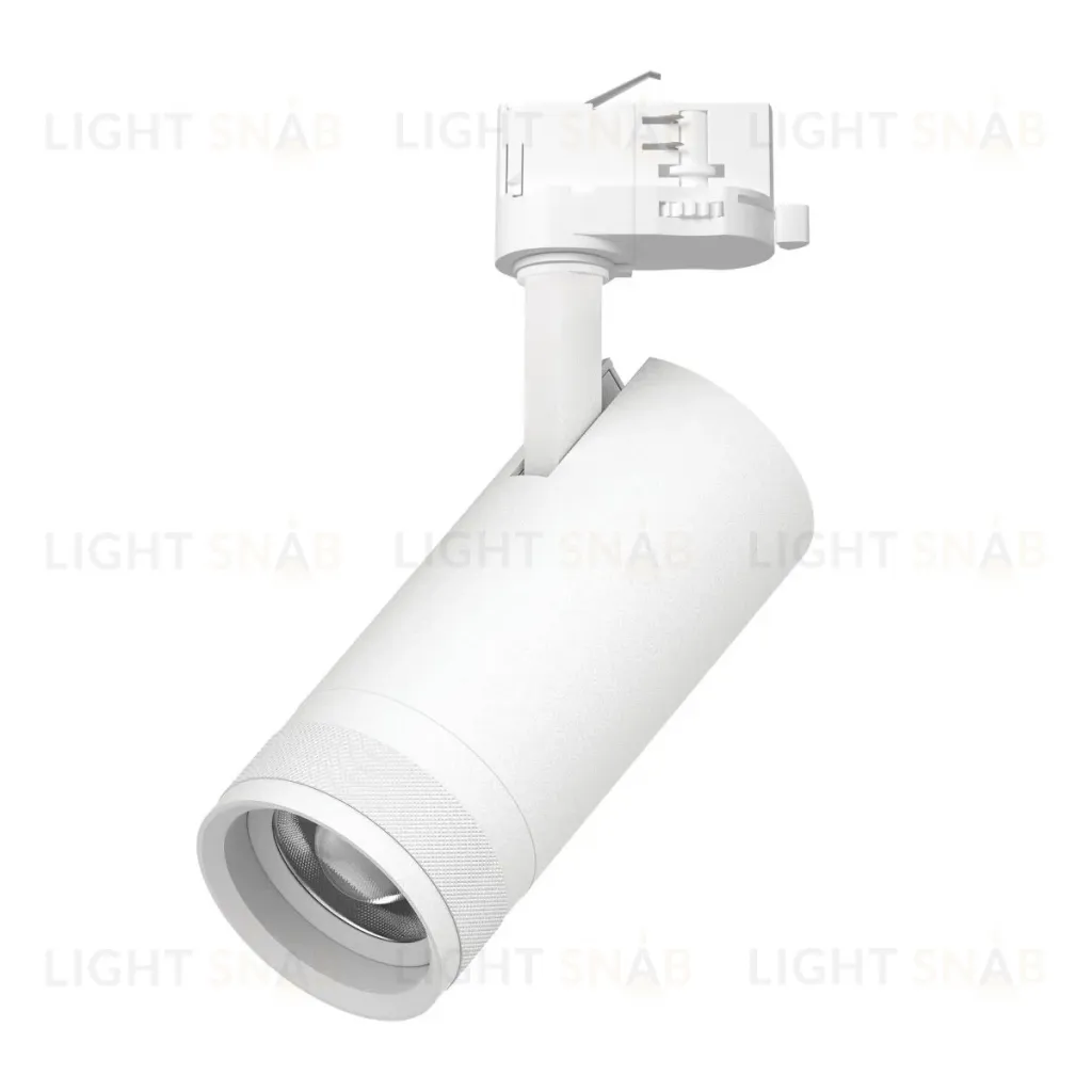 Трековый трехфазный светильник Quattro 20-55G с адаптером Lightstar Canno Pro C4206QT (304206 + 594006) C4206QT