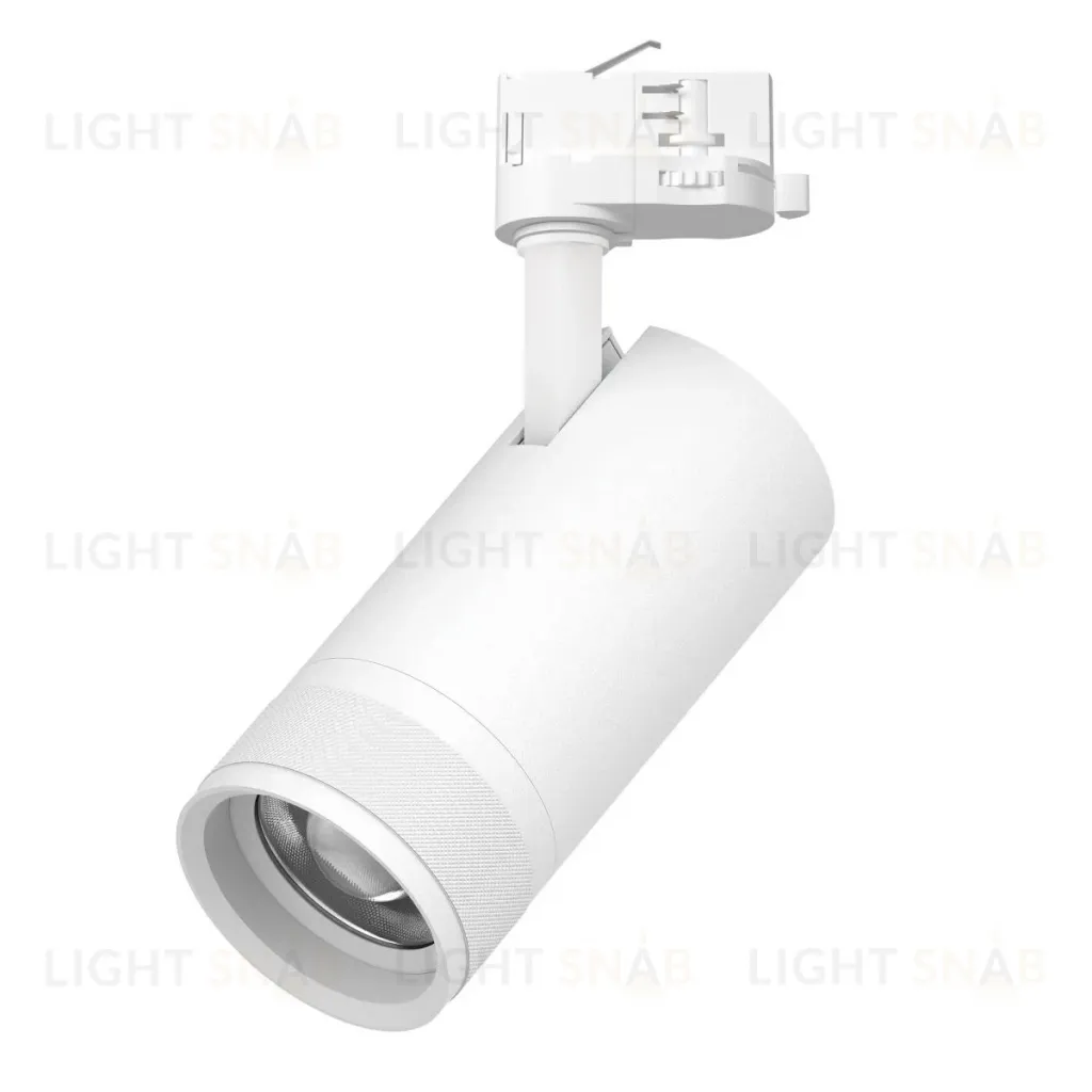 Трековый трехфазный светильник Quattro 20-55G с адаптером Lightstar Canno Pro C4306QT (304306 + 594006) C4306QT