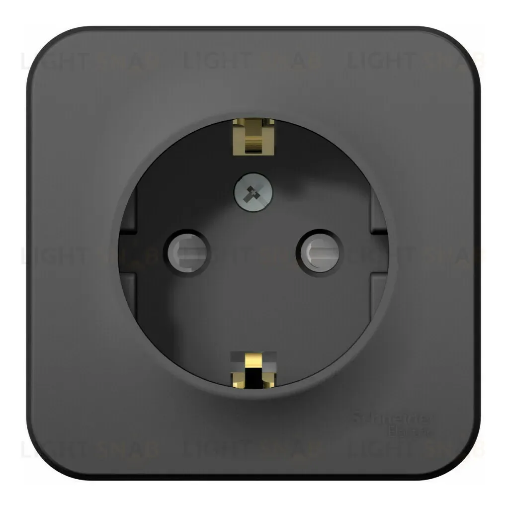 Розетка с/з со шторками, 16А, 250В Systeme Electric Blanca наруж Антрацит BLNRA011106 BLNRA011106