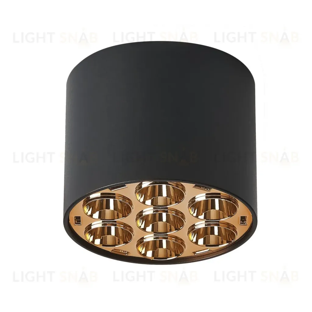Потолочный светильник Lightstar Guarda 080642 080642