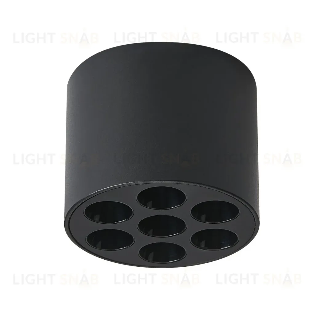 Потолочный светильник Lightstar Guarda 080647 080647