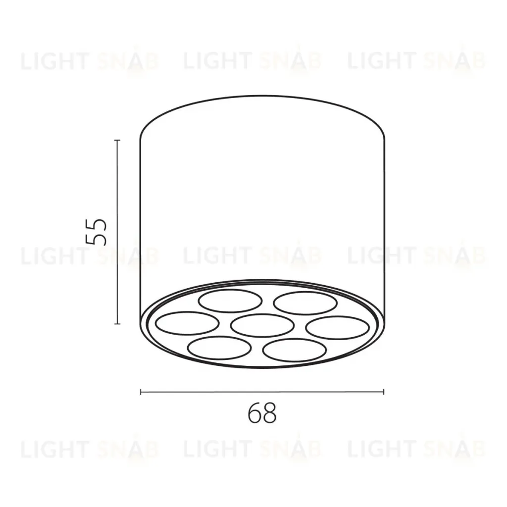 Потолочный светильник Lightstar Guarda 080642 080642
