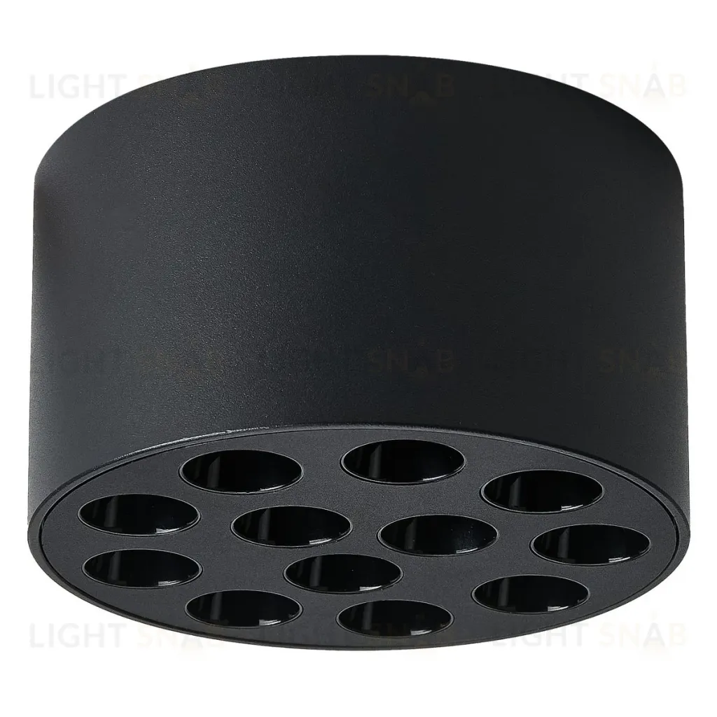 Потолочный светильник Lightstar Guarda 080947 080947