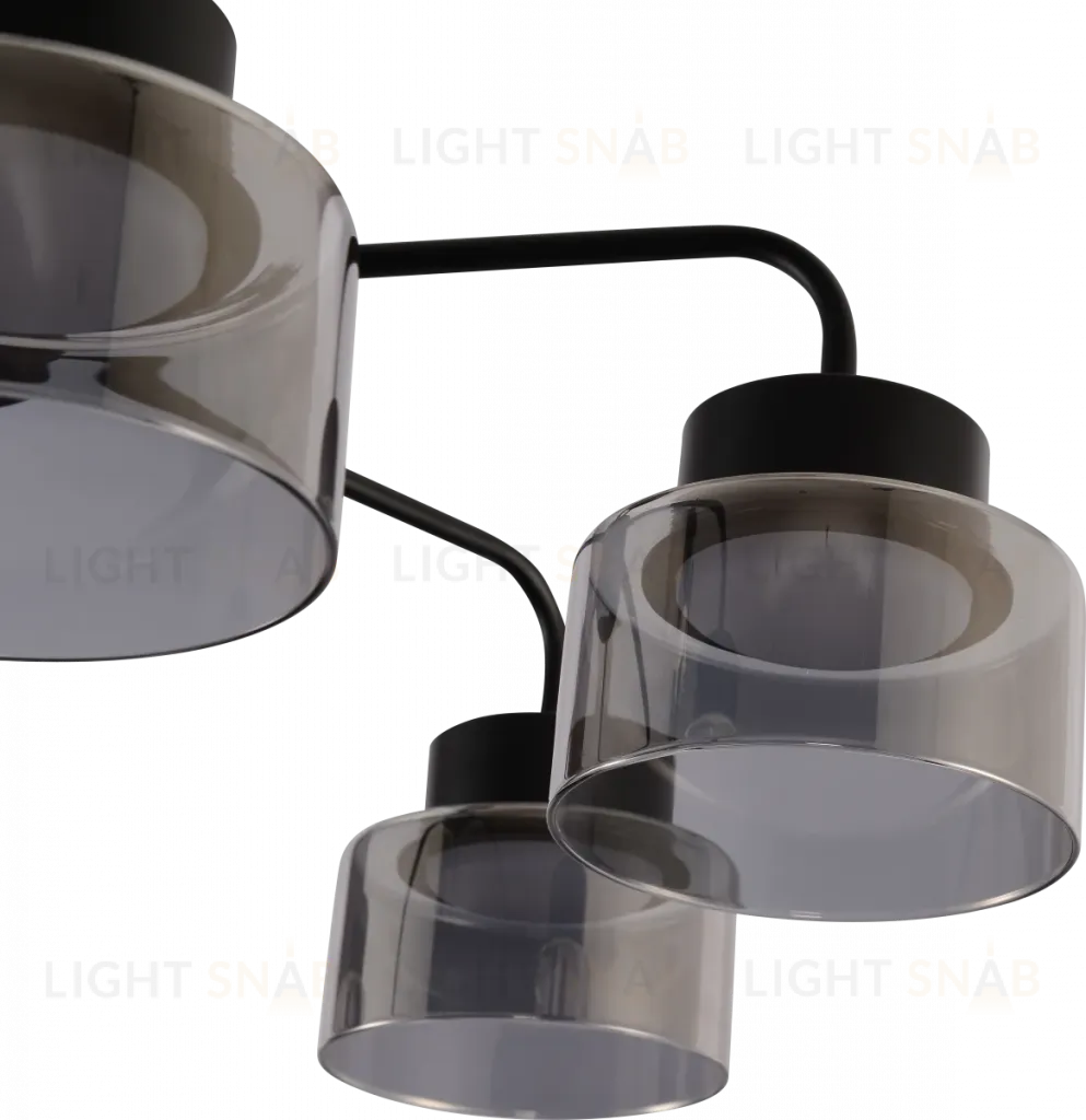 Люстра на штанге Rivoli Marsha 9193-306 Б0070160 Б0070160