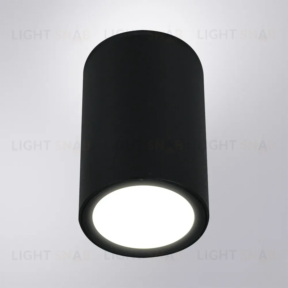 Уличный потолочный светильник Arte Lamp Torcular A1307PF-1BK A1307PF-1BK
