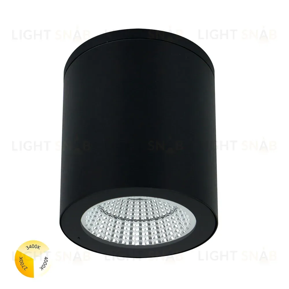 Уличный потолочный светильник Arte Lamp Torcular A1313PF-1BK A1313PF-1BK