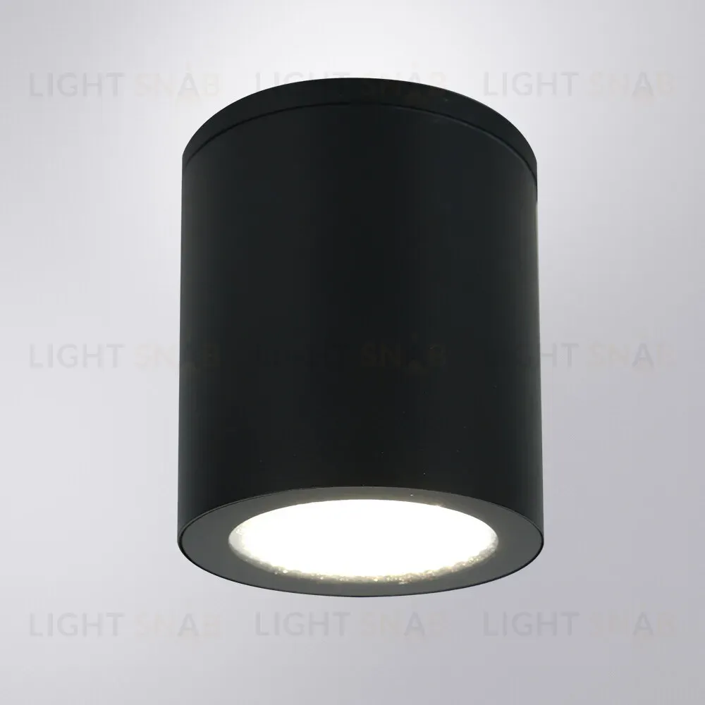 Уличный потолочный светильник Arte Lamp Torcular A1313PF-1BK A1313PF-1BK
