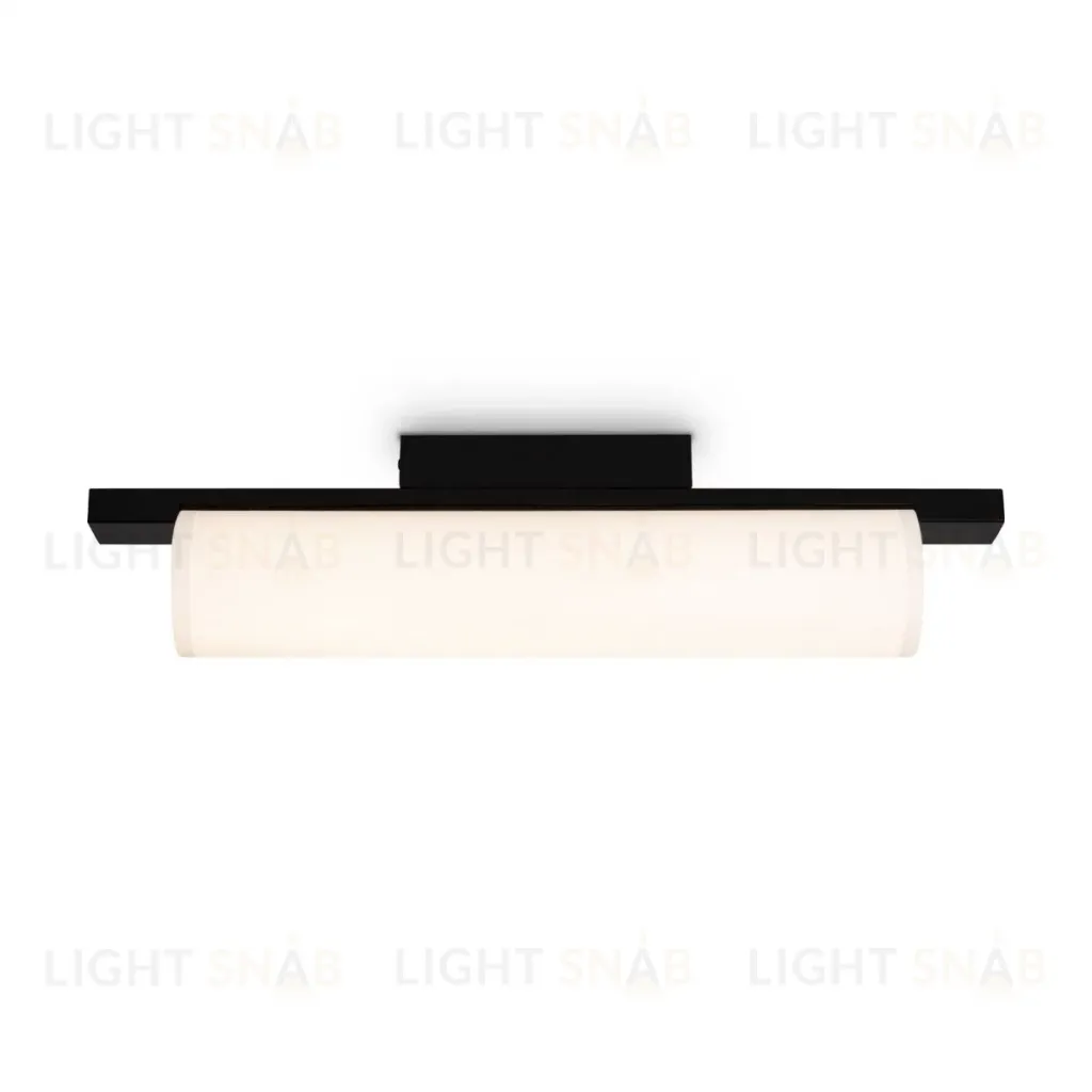 Потолочный светильник Freya Even FR5625CL-L20B FR5625CL-L20B