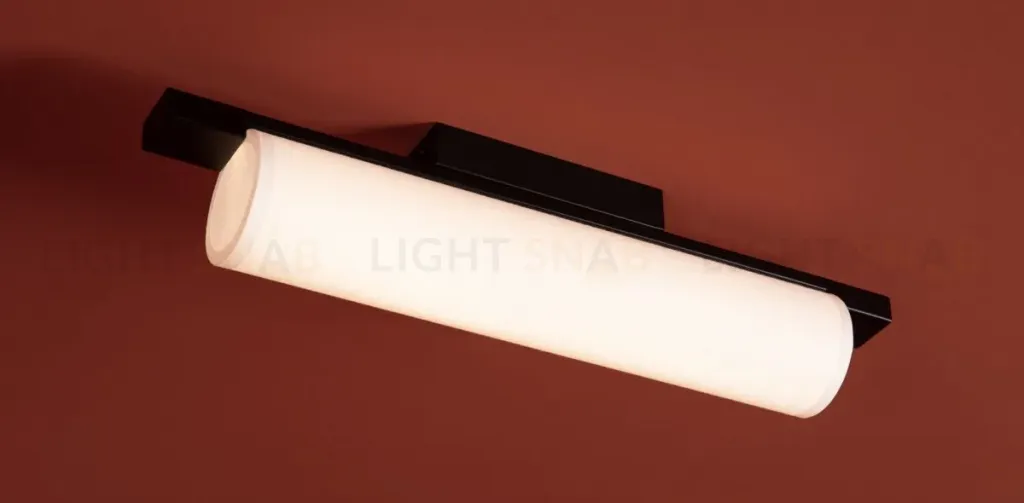 Потолочный светильник Freya Even FR5625CL-L20B FR5625CL-L20B