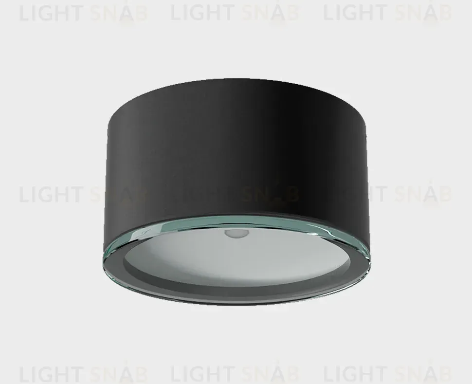 Уличный потолочный светильник Italline IT6041 IT6041