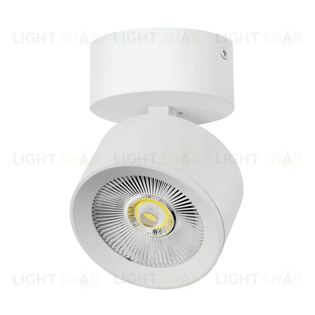 Накладной светильник Alta Pro Lightstar A5546SO A5546SO