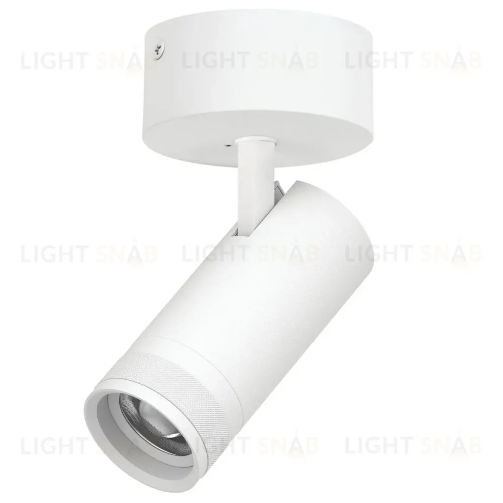 Накладной светильник 20-55G с адаптером Lightstar Canno Pro C4206SO C4206SO