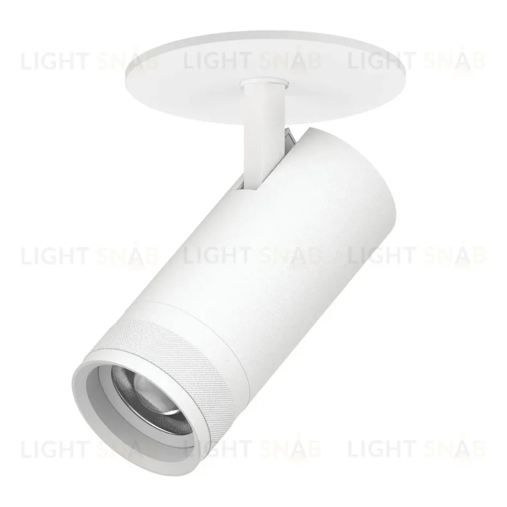 Встраиваемый светильник 20-55G с адаптером Lightstar Canno Pro C4206RS C4206RS