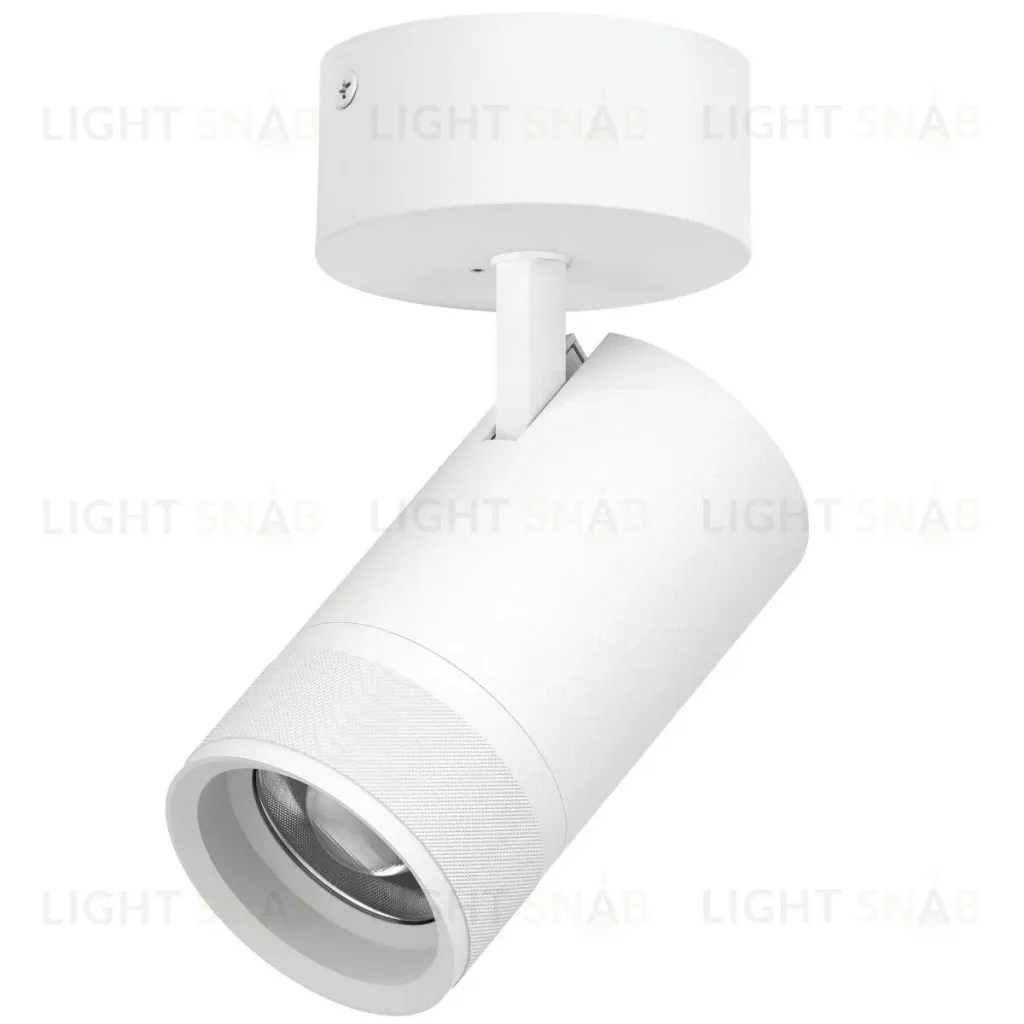 Накладной светильник 20-55G с адаптером Lightstar Canno Pro C4406SO C4406SO