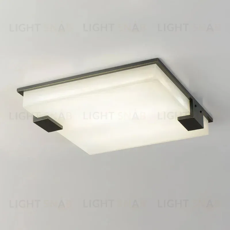 Потолочный светильник Delight Collection 8212C/500 black/white 8212C/500 black/white