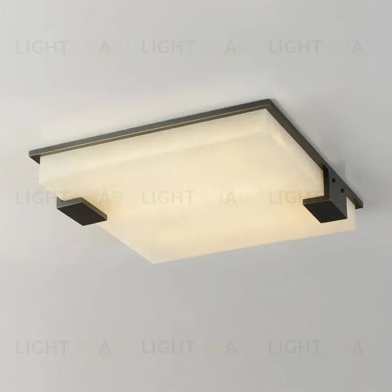 Потолочный светильник Delight Collection 8212C/500 black/white 8212C/500 black/white