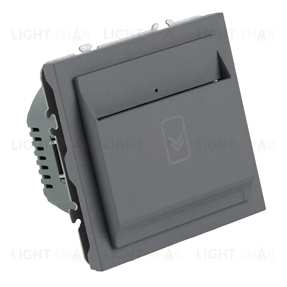 Выключатель карточный Stekker Эмили RSW40-5114-10 платиново-серый, soft touch 50699 50699