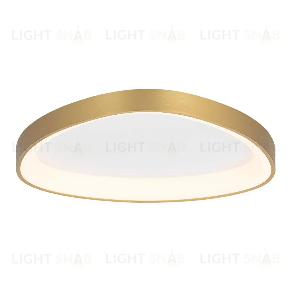 Потолочная люстра Citilux Genka Smart CL756A142 CL756A142