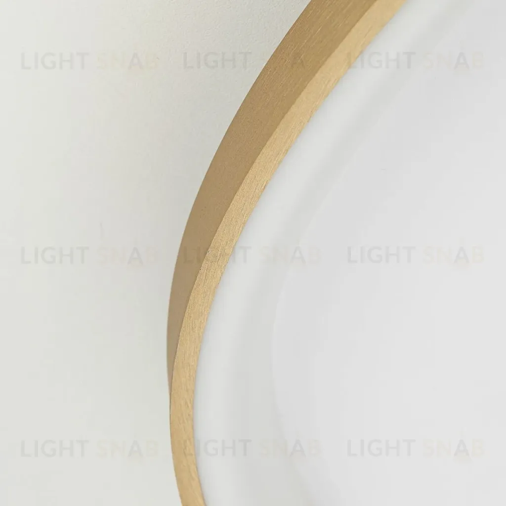 Потолочная люстра Citilux Genka Smart CL756A162 CL756A162
