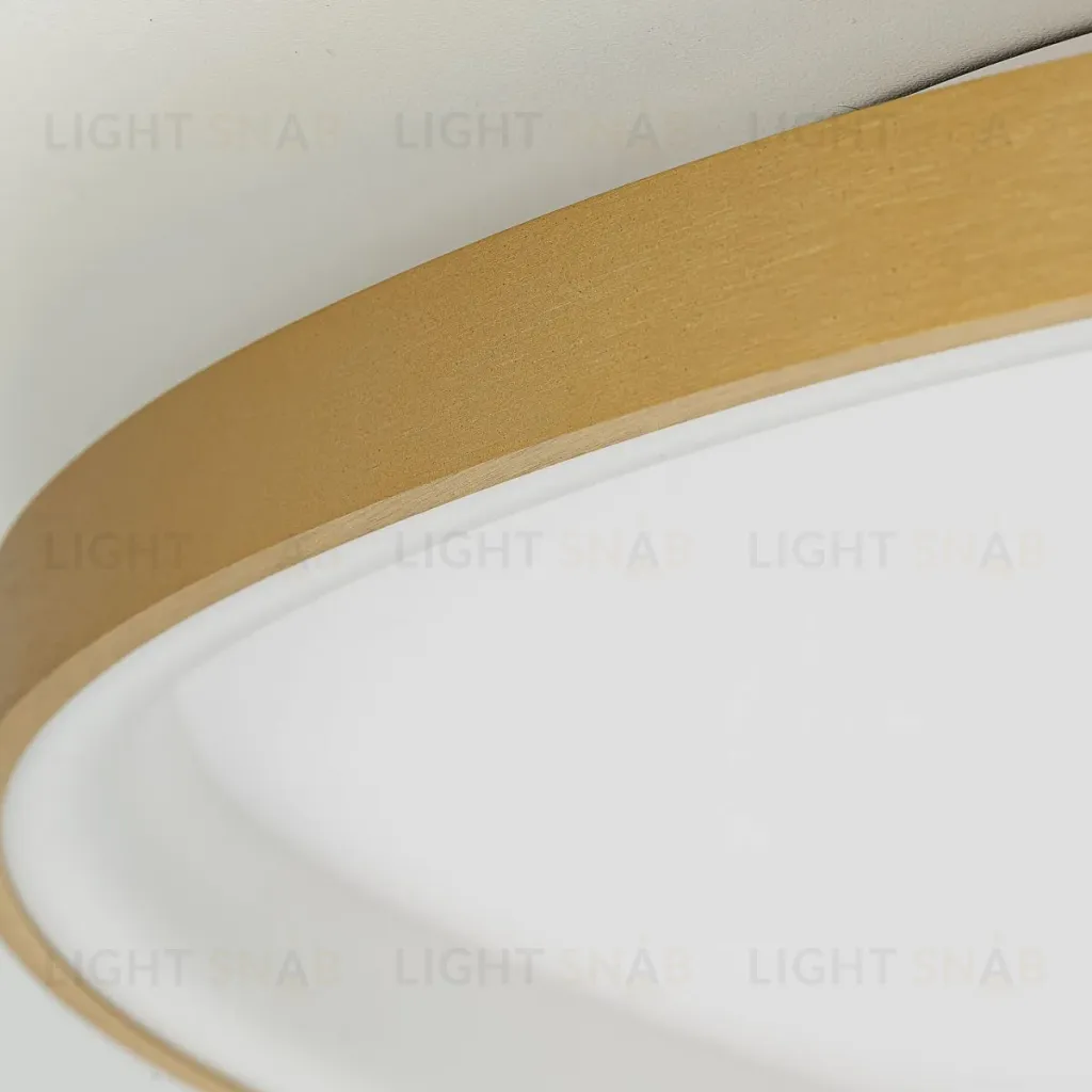 Потолочная люстра Citilux Genka Smart CL756A162 CL756A162