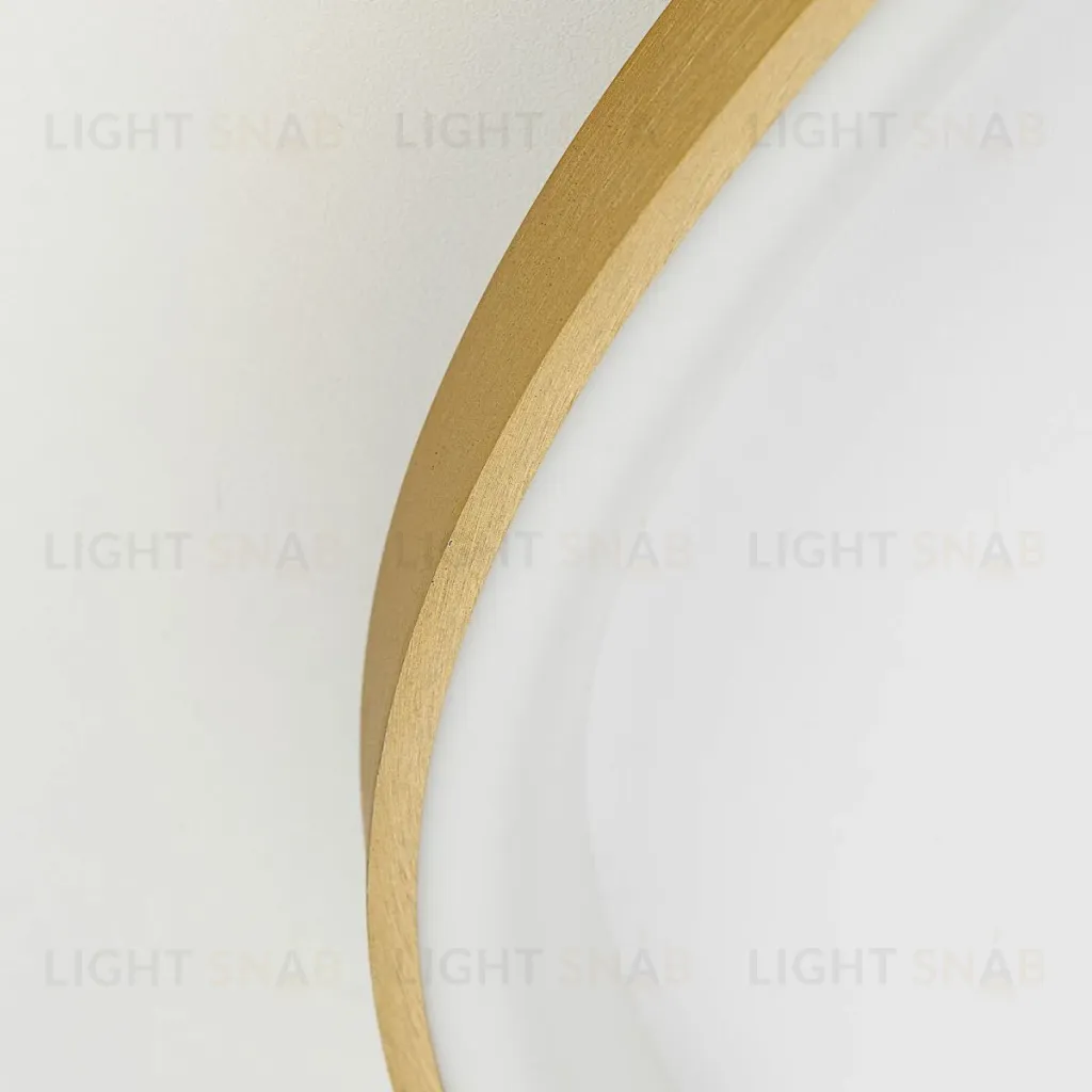 Потолочная люстра Citilux Genka Smart CL756A162 CL756A162