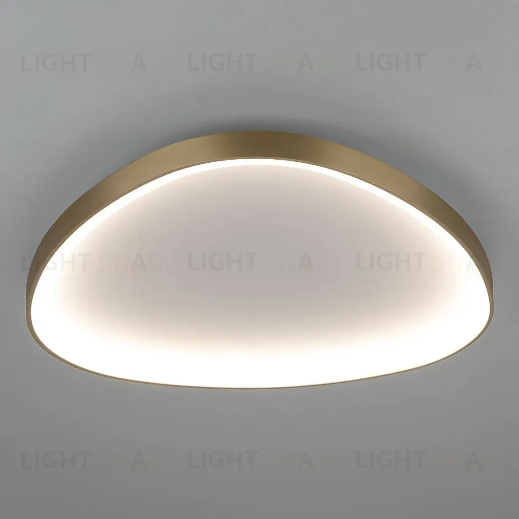 Потолочная люстра Citilux Genka Smart CL756A162 CL756A162